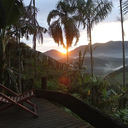 Eco Hostel Organic Life Trindade  Dış mekan fotoğraf