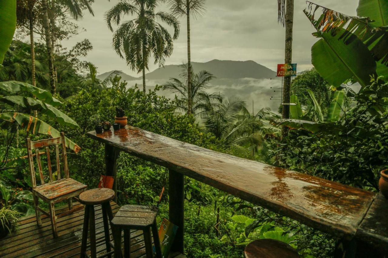 Eco Hostel Organic Life Trindade  Dış mekan fotoğraf
