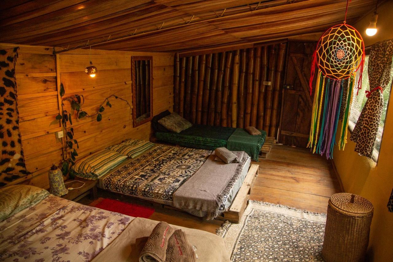 Eco Hostel Organic Life Trindade  Dış mekan fotoğraf
