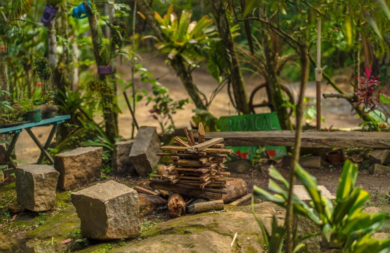Eco Hostel Organic Life Trindade  Dış mekan fotoğraf
