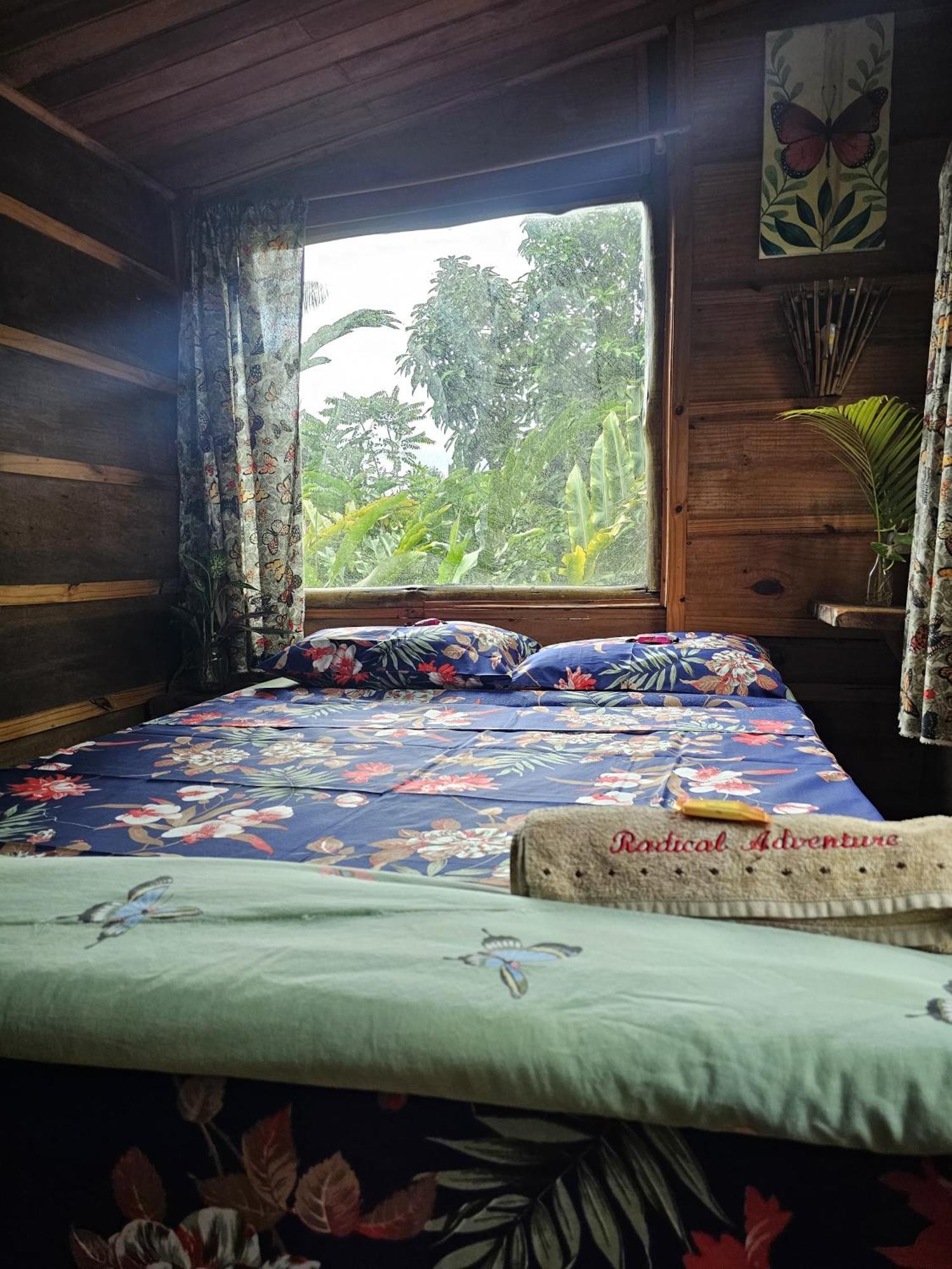 Eco Hostel Organic Life Trindade  Dış mekan fotoğraf